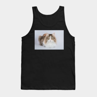 Long Hair tortoiseshell cat Tank Top